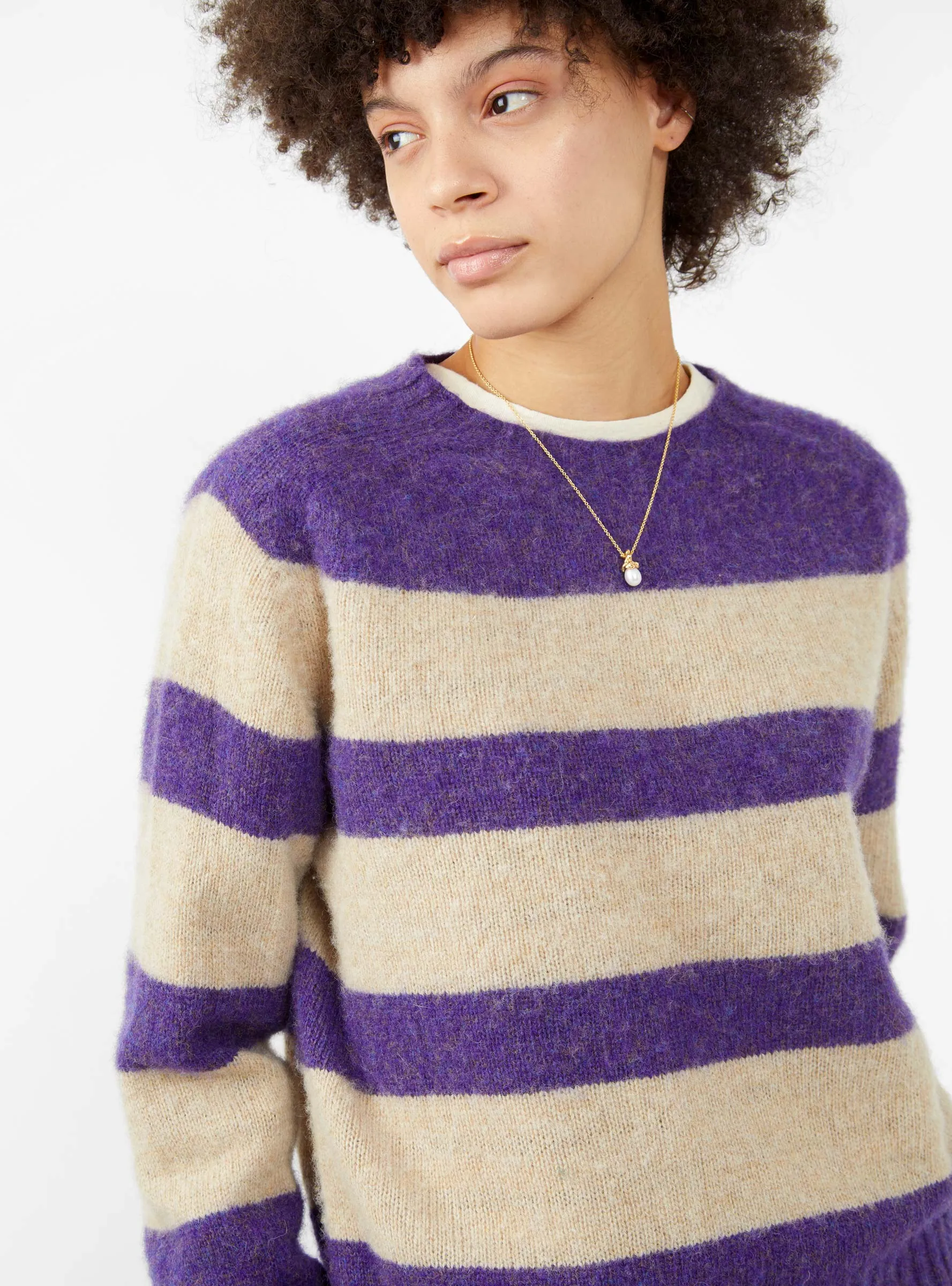 A Dance in the Jungle Sweater Purple & Beige Stripe