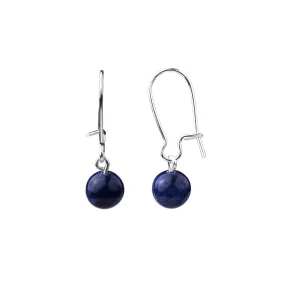 Earring | Kidney Wire - Small  | Sodalite