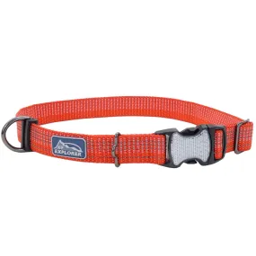 K9 Explorer Brights Reflective Adjustable Dog Collar, Red Large