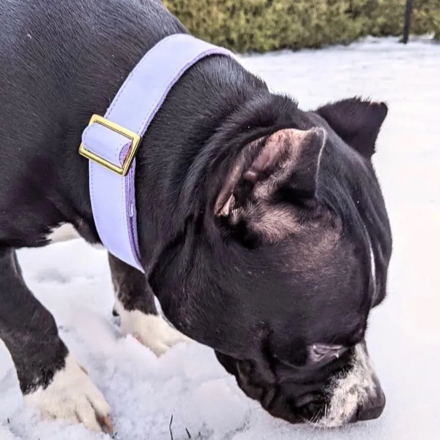 Purple Lilac Collar