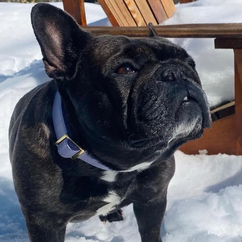 Purple Lilac Collar