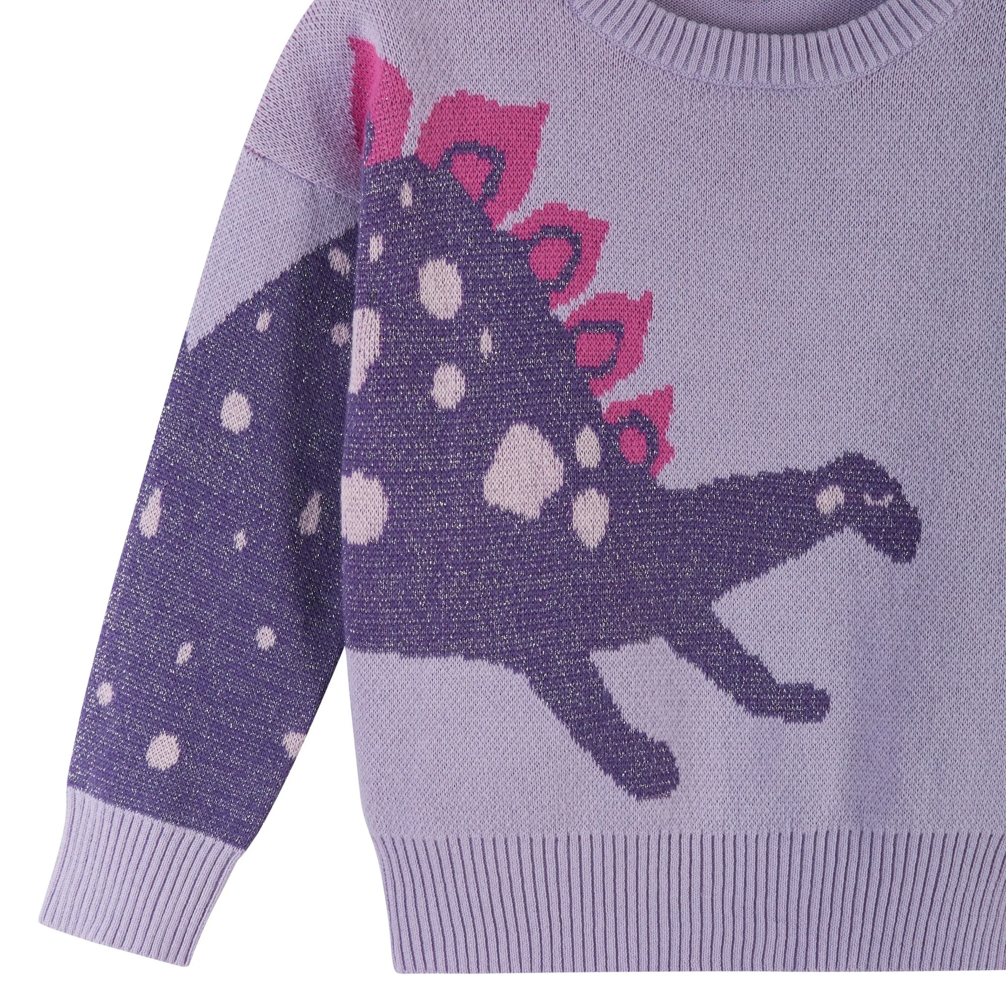 Purple Stegosaurus Sweater Set