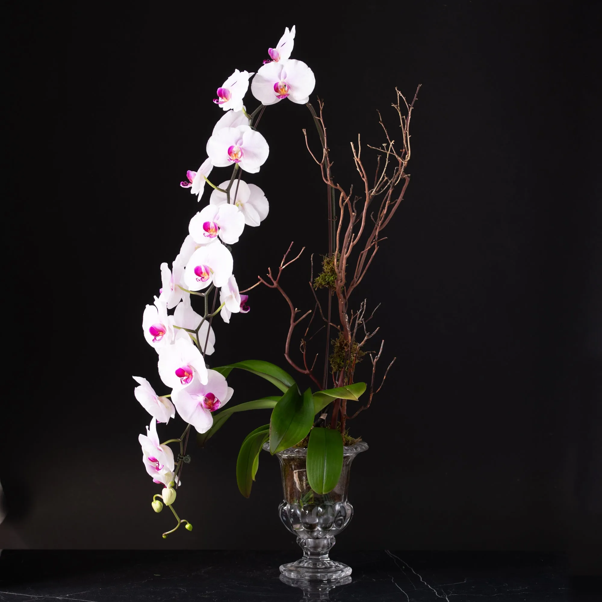 Waterfall Single Stem Orchid